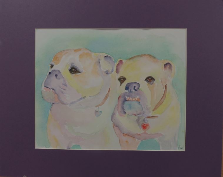 14-Bull Dogs