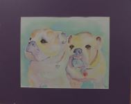 14-Bull Dogs - 14-Bull Dogs